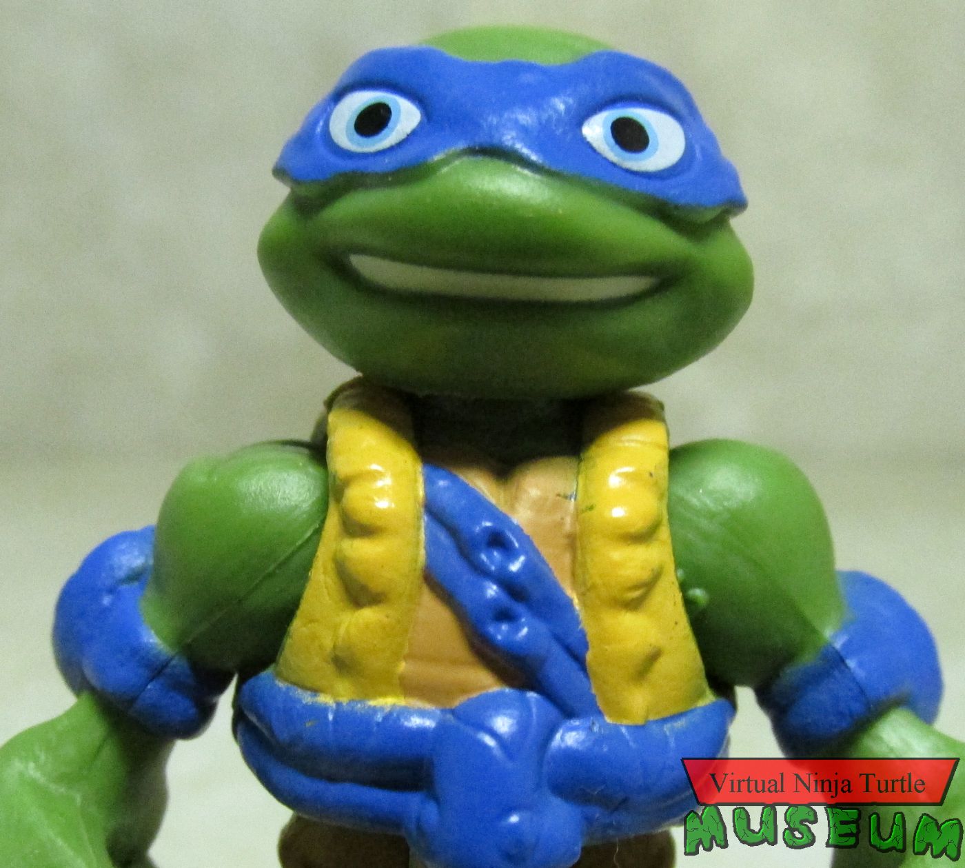 Leonardo close up