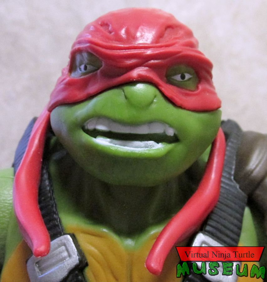 Raphael close up