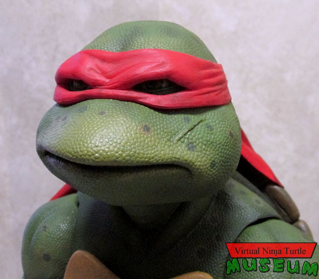 Raphael close up