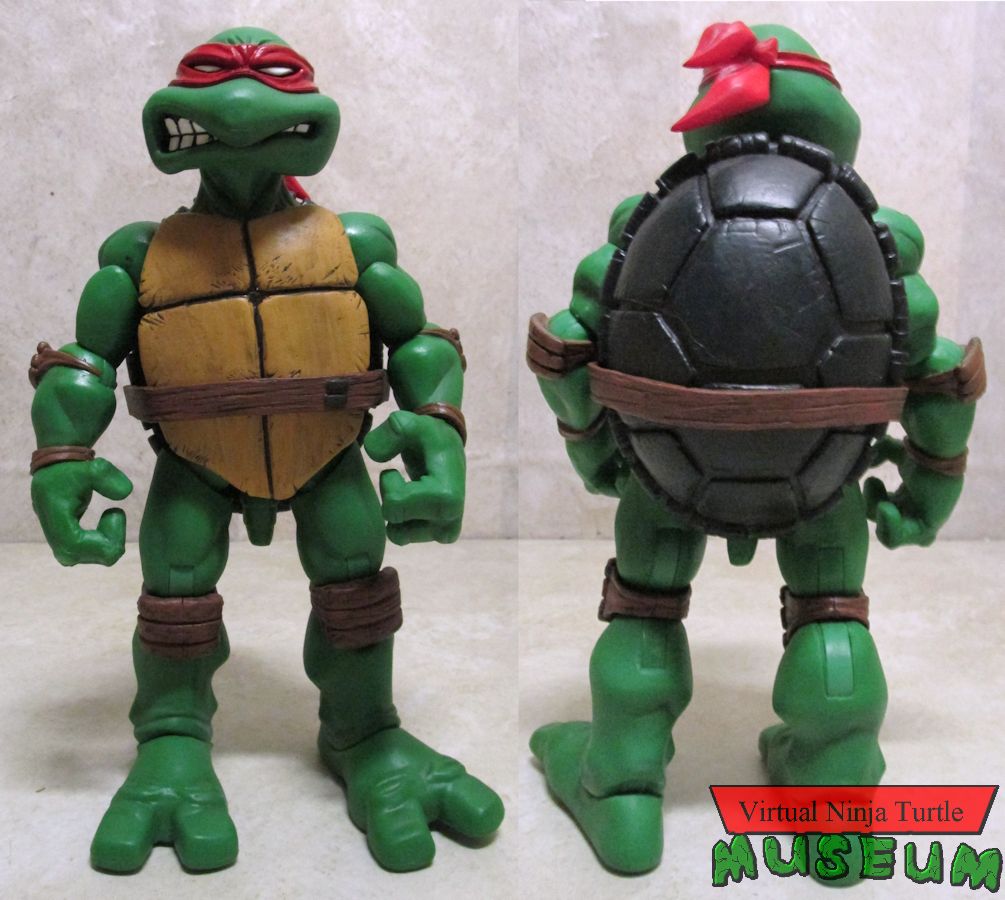 Raphael front and back