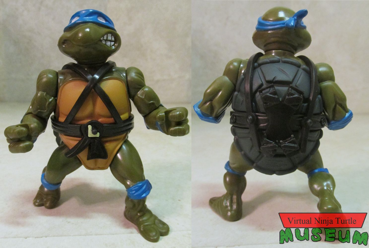 Leonardo front and back