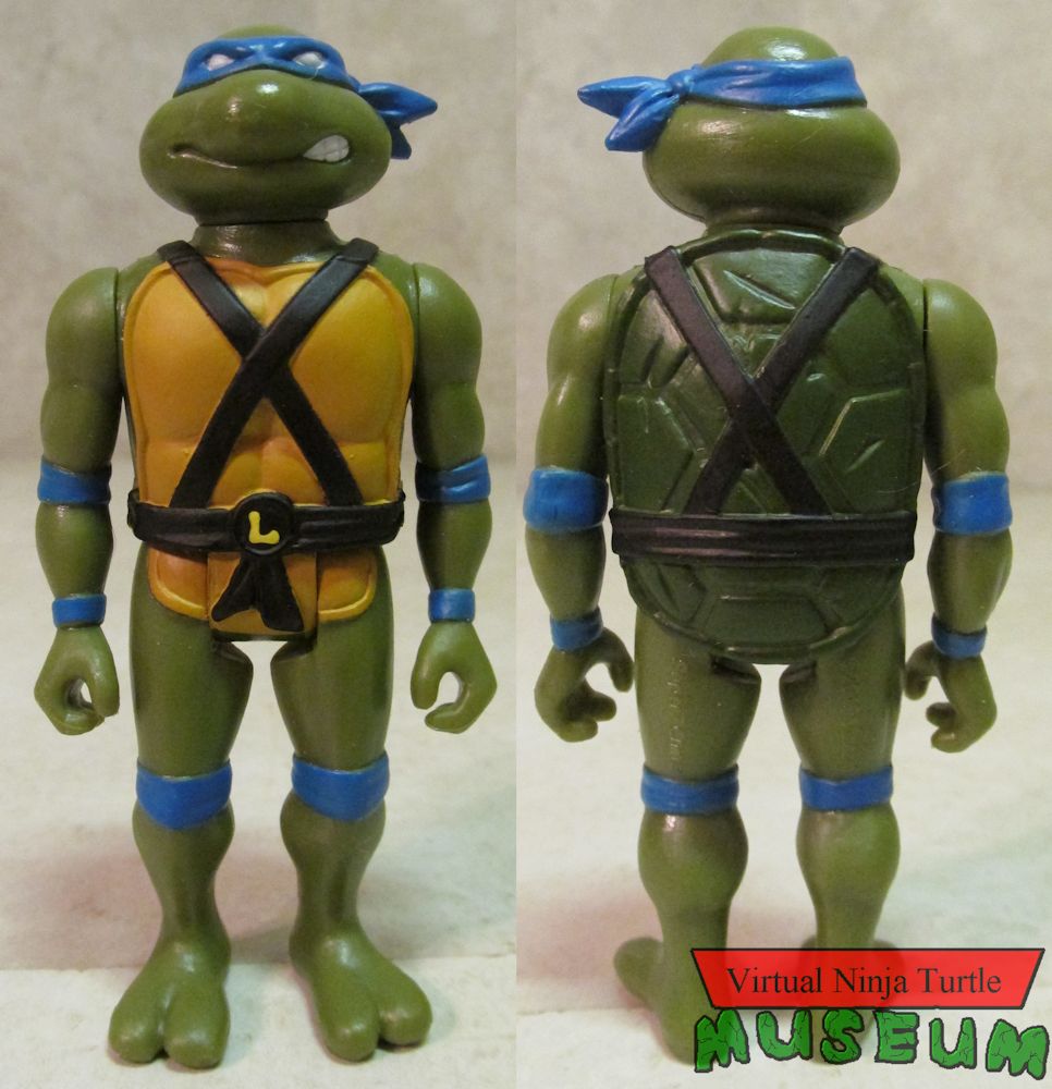 Leonardo front and back