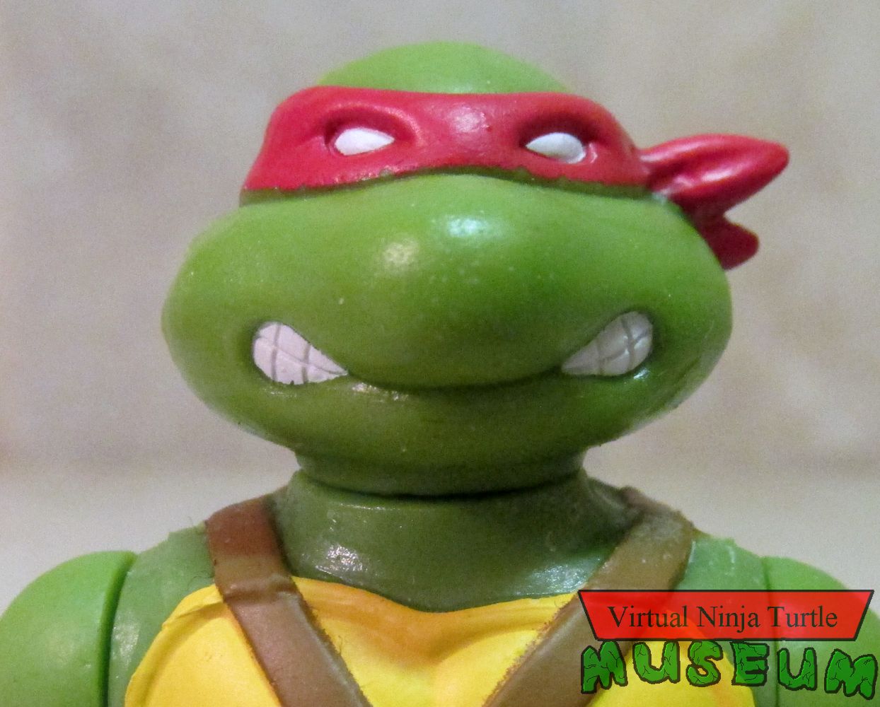 Mirage Donatello Close Up