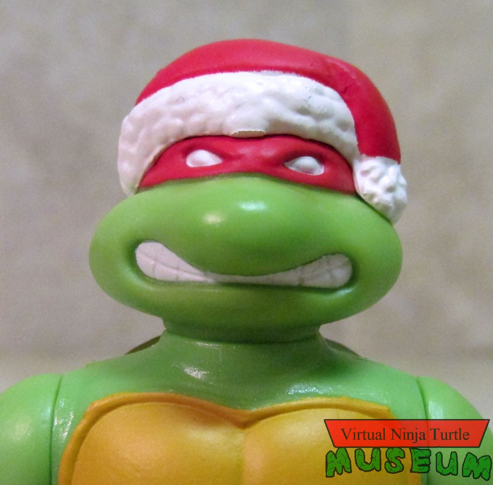 Raphael close up