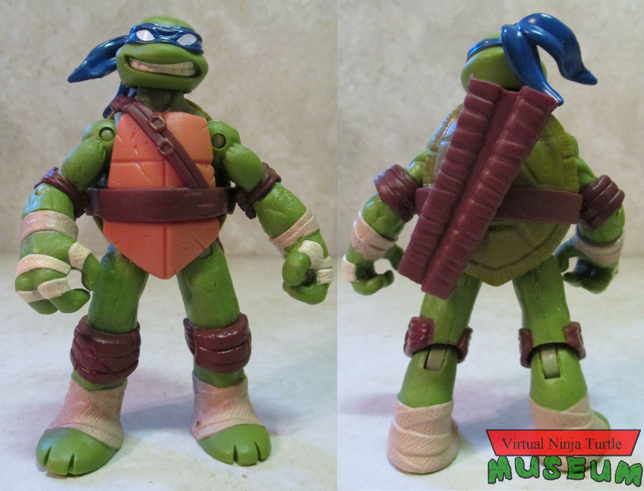 Leonardo front and back