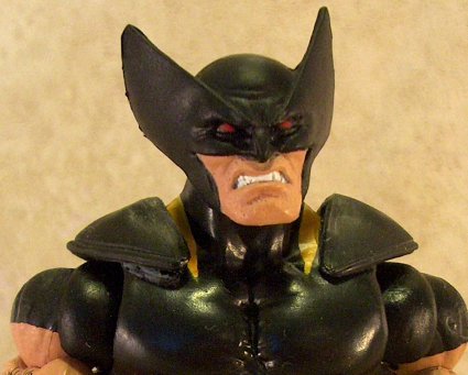 Wolverine close up