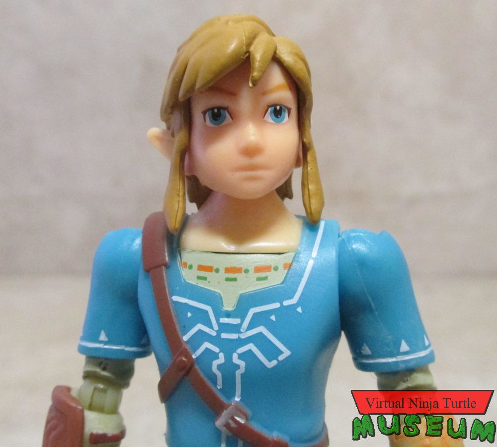 BOTW Link close up