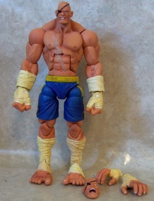 Sagat